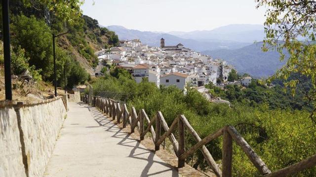 Camino en el municipio de Algatocín. | L.O.