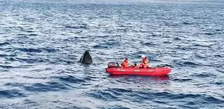 Jornada accidentada en aguas de Ibiza con el rescate de dos veleros y un catamarán