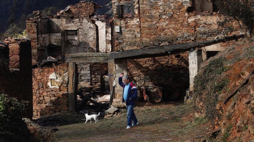 Una clínica veterinaria de Castrillón ofrece ayuda a los animales heridos en los incendios