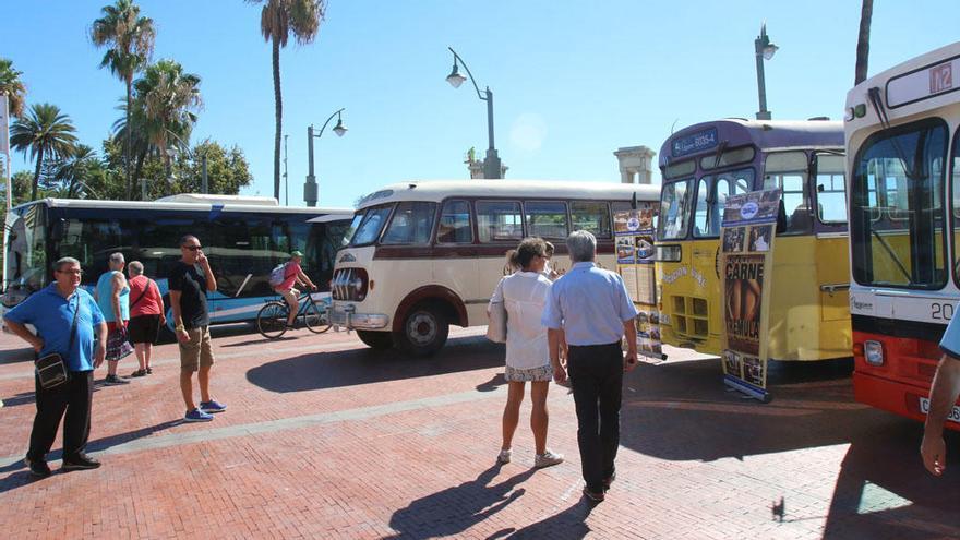 Autobuses históricos en la plaza de la Marina en la edición del año pasado.