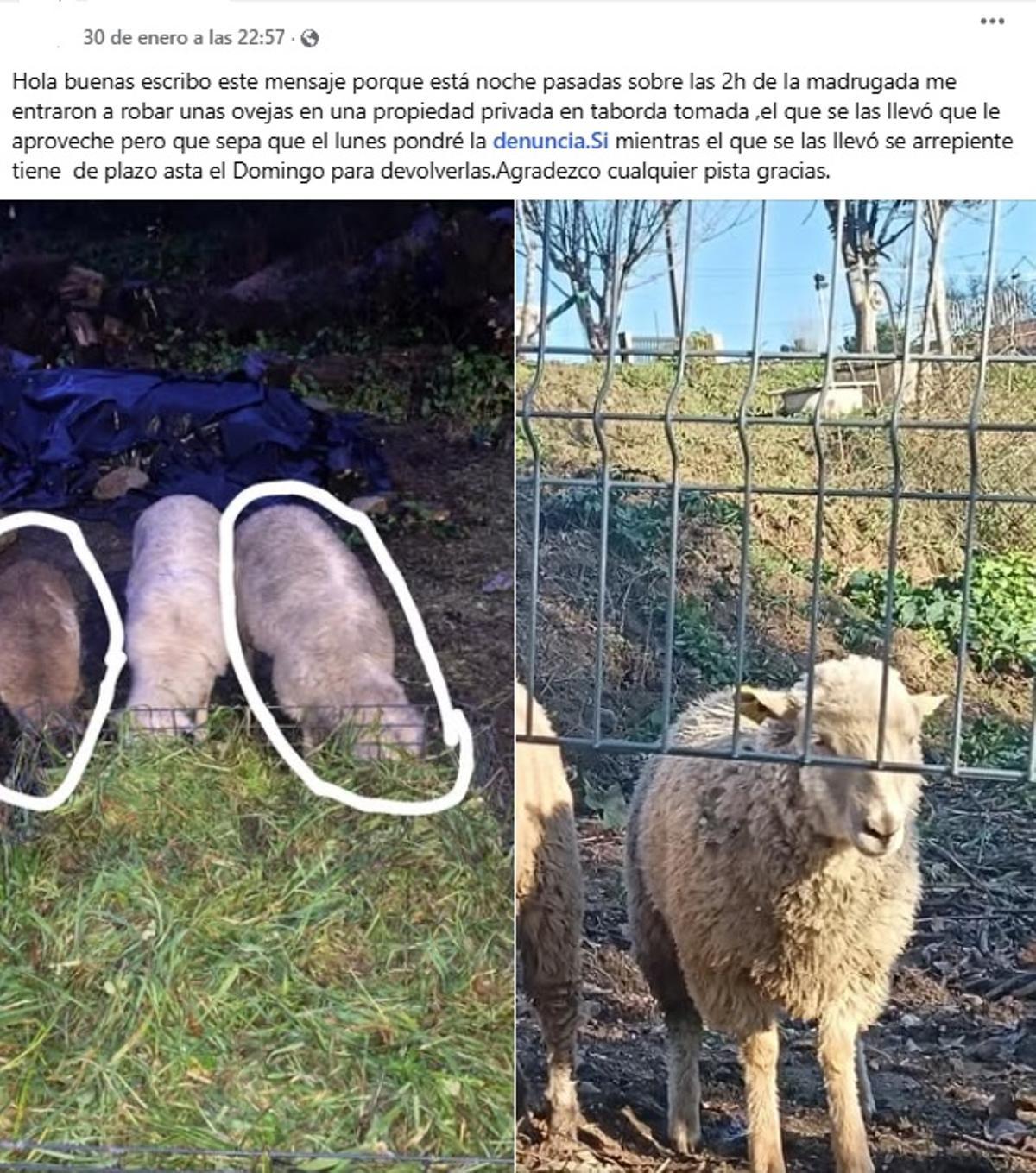 Mensaje de uno de los afectados.