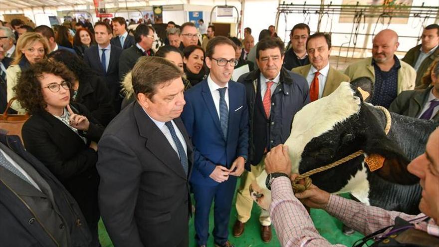 La Feria Agroganadera de Los Pedroches exhibe la vitalidad de la España rural