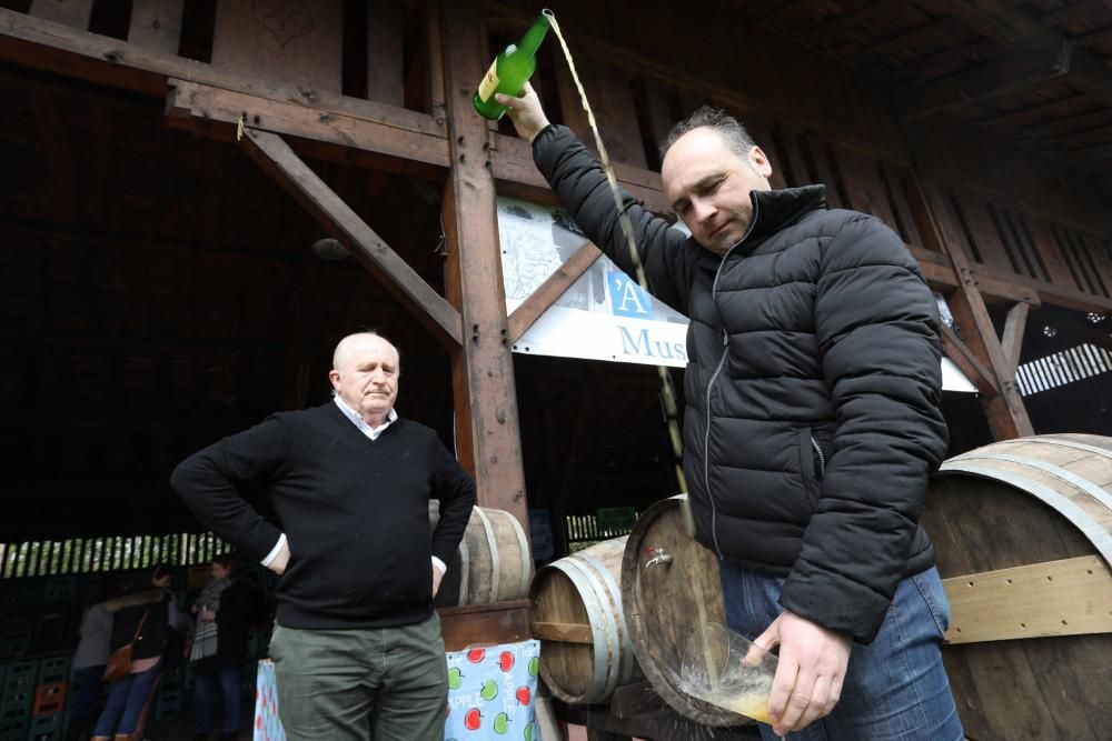 Primera sidra del año