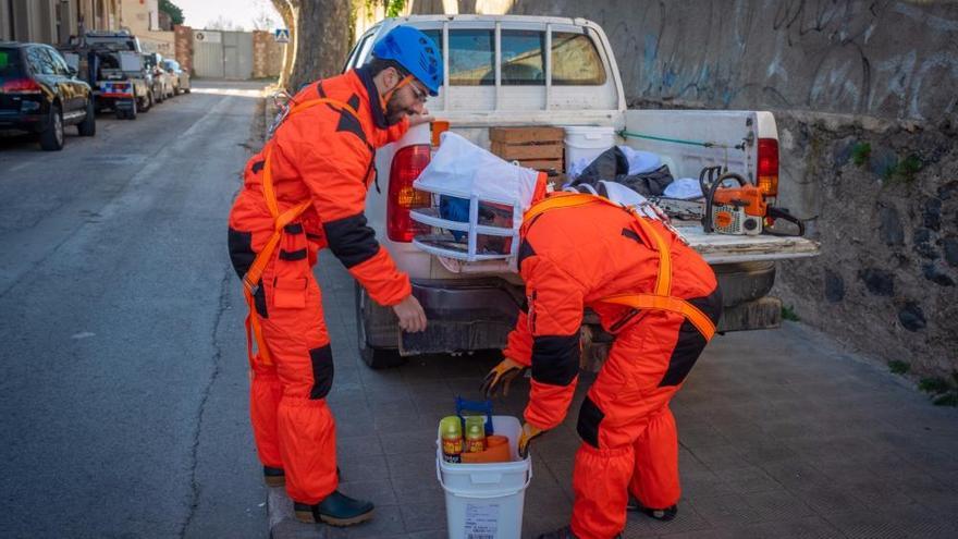 Els Bombers retiren un niu de vespes asiàtiques a Figueres