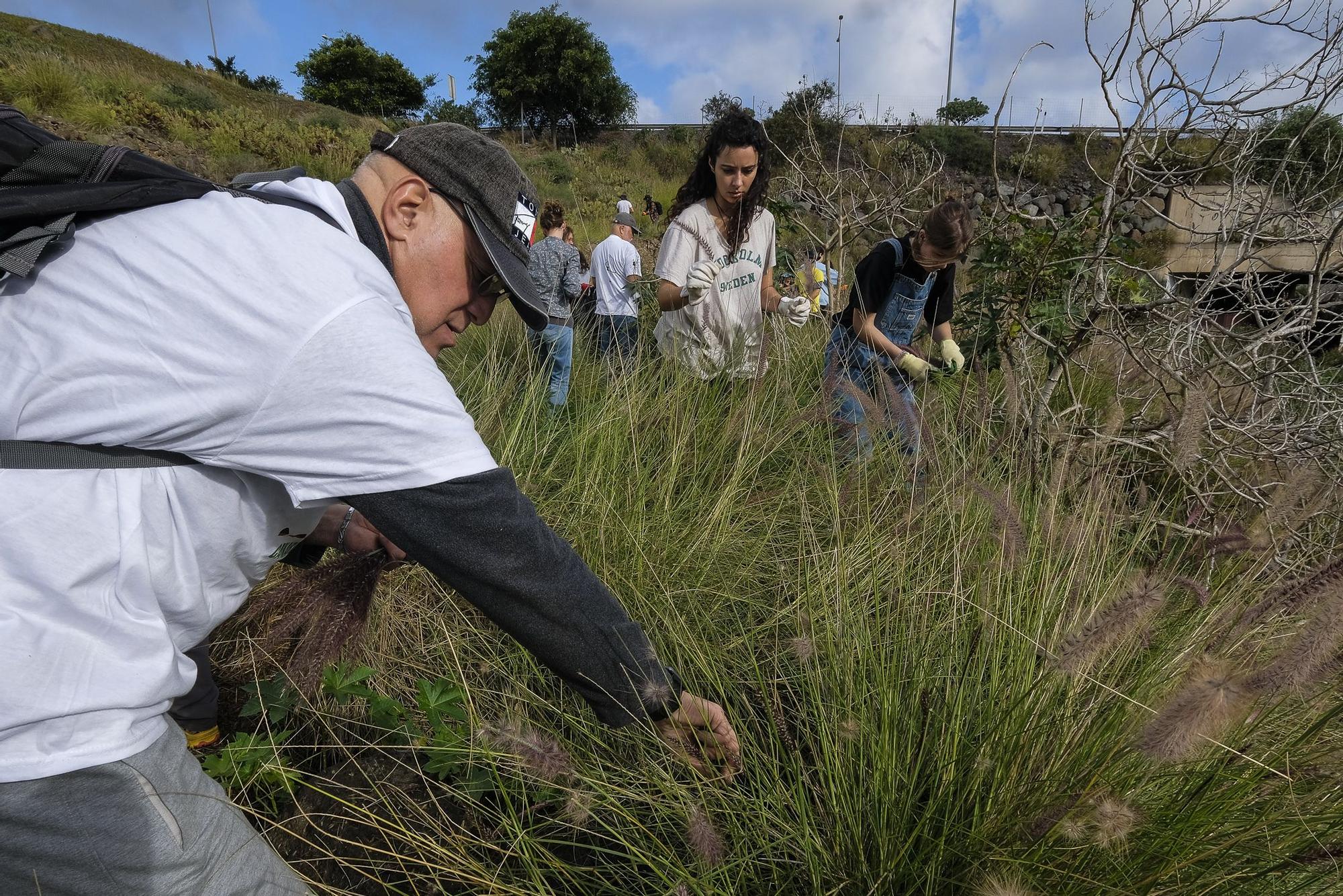 La Sinfónica de Bamberg participa en una reforestación simbólica en Tamaraceite para compensar su huella de carbono