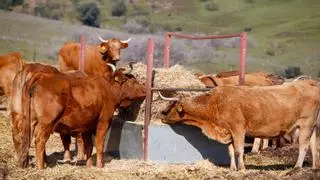 Los insumos agroganaderos han subido en torno al 40% en un año