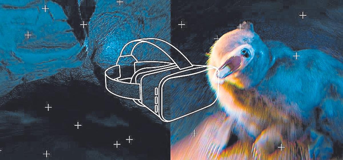 Galiverso no corazón da pedra, un viaje al interior del territorio