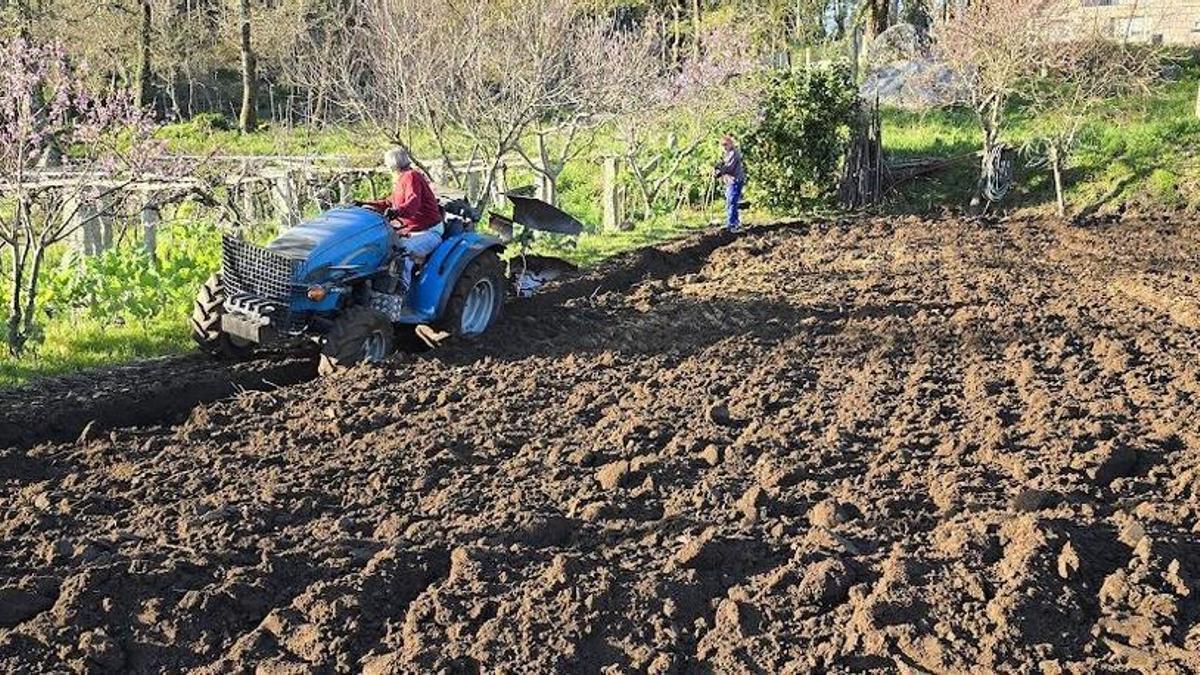 Un agricultor trabaja con su tractor en una parcela.