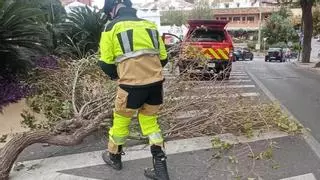 Los bomberos de Benalmádena empiezan a actuar ante rachas de viento de hasta 76 km/h