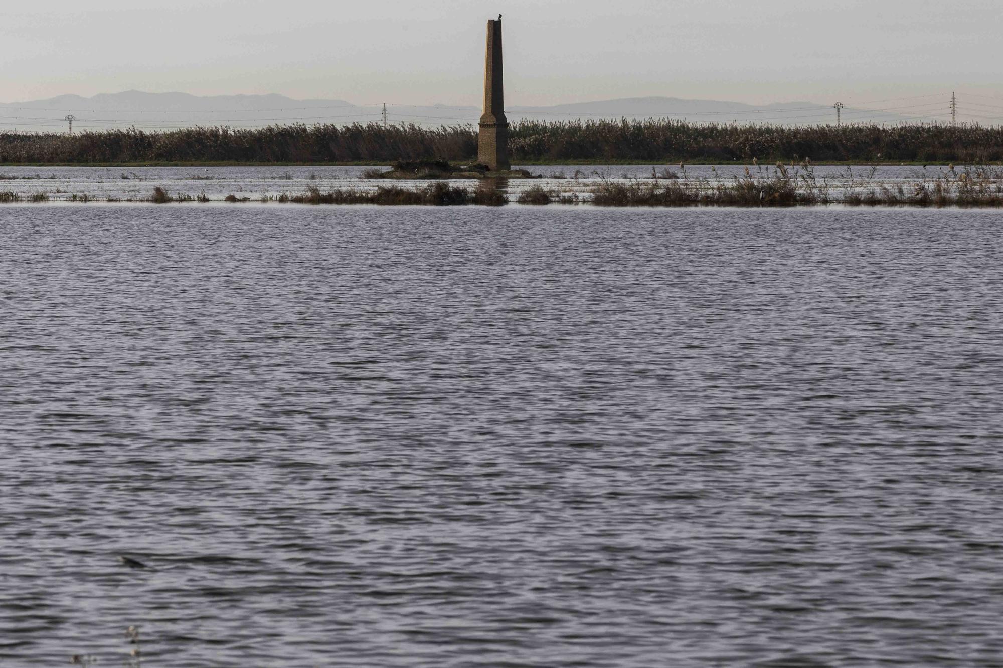 L'Albufera y su biodiversidad disfrutan de una caudal histórico