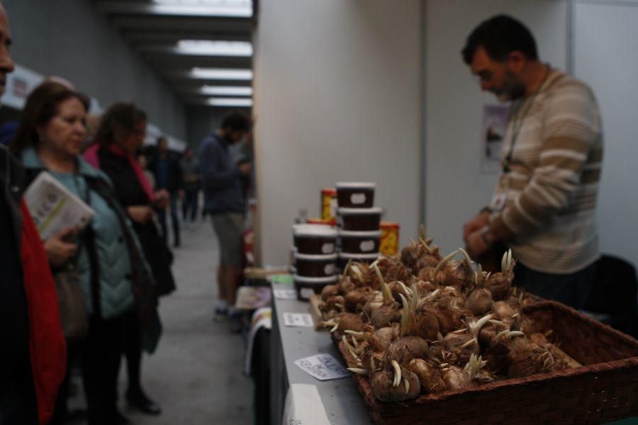 Feria Ecocultura 2016