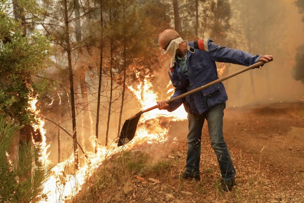 Incendio de grandes dimensiones en el centro de Portugal.