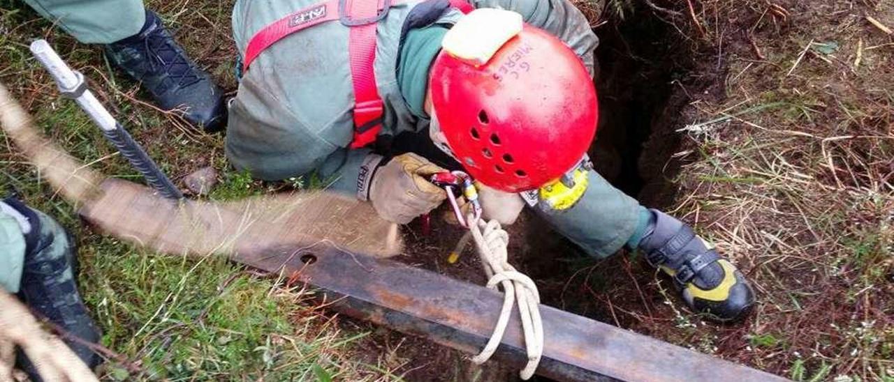 Labores de rescate de un perro que se cayó en un pozo de mina ubicado en la zona de Llosorio, en Mieres.