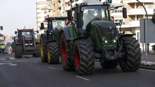 El Gobierno garantizará el derecho de protesta de los agricultores y la convivencia ciudadana