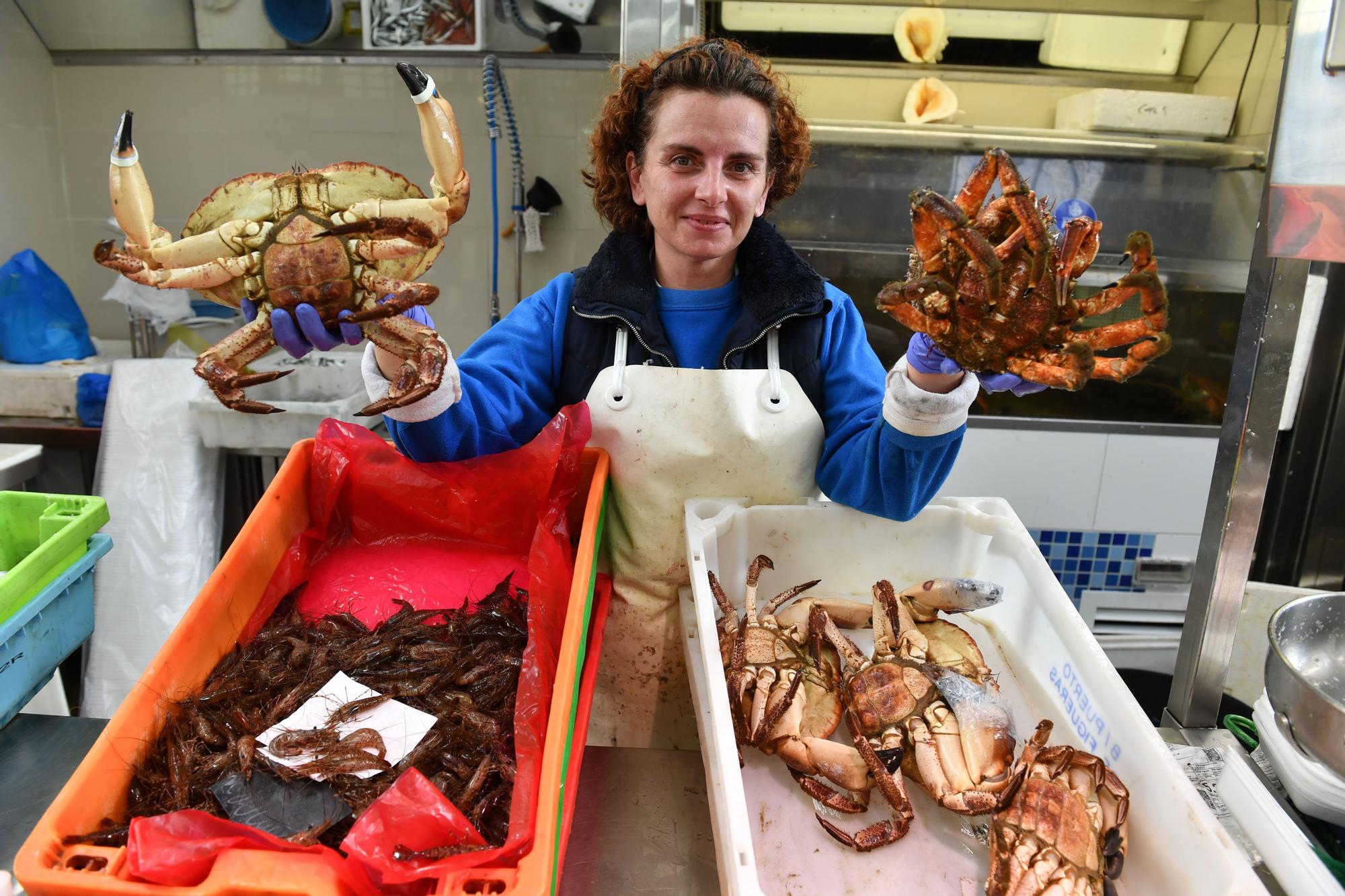 Abierta la veda de la centolla en Galicia