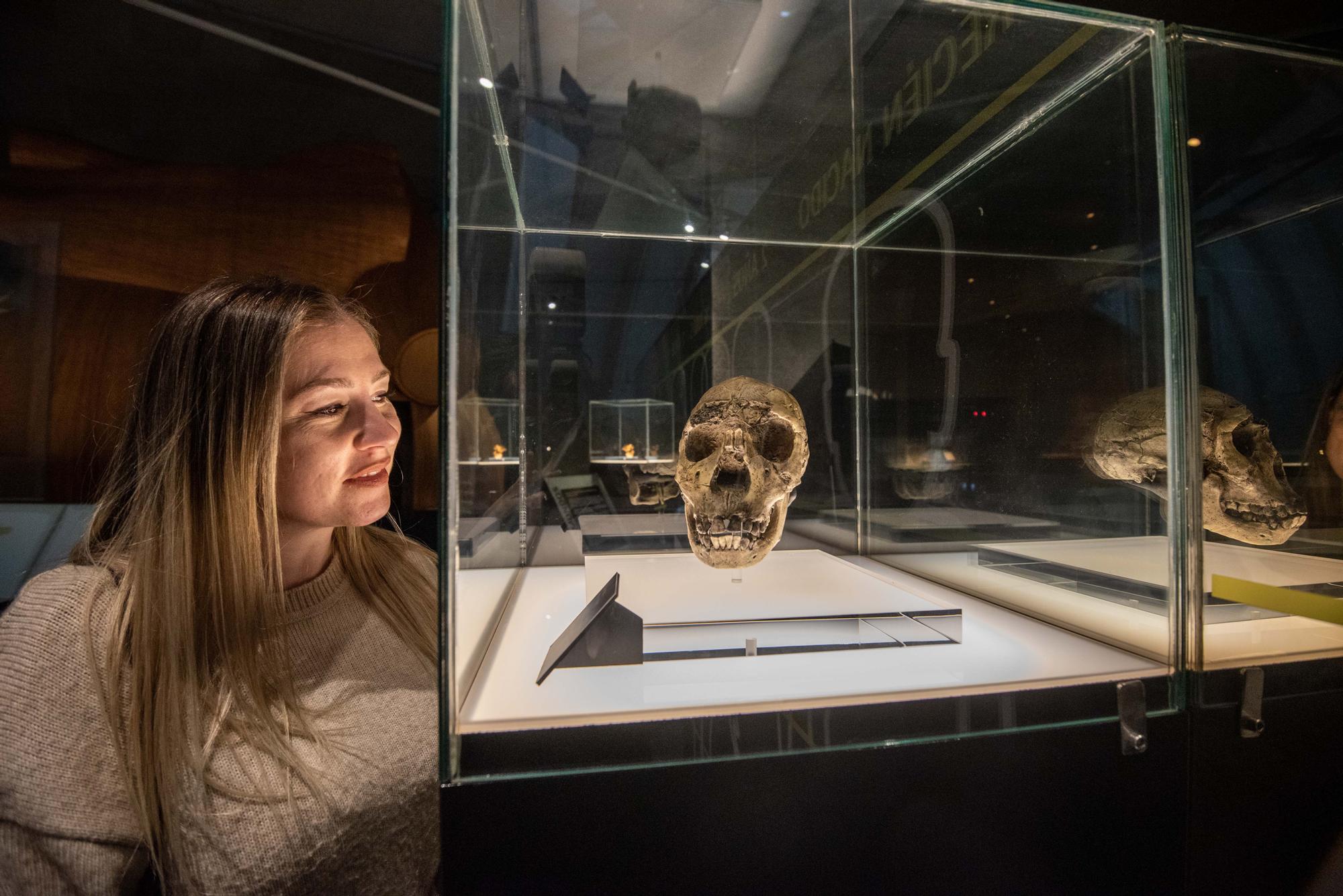 Día de los Museos en A Coruña