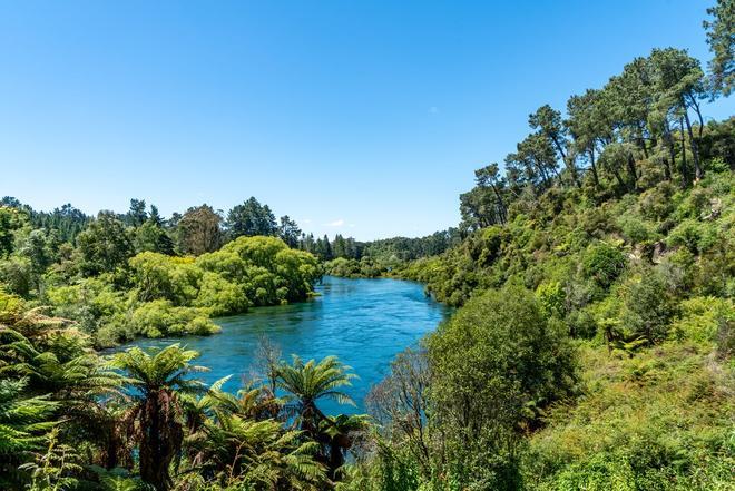 Río Waikato, cerca de las cuevas de Waitomo, Nueva Zelanda