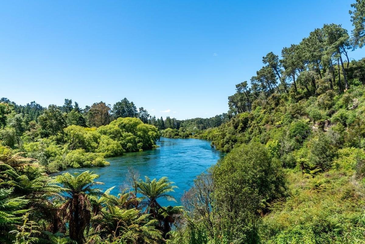 Río Waikato, cerca de las cuevas de Waitomo, Nueva Zelanda