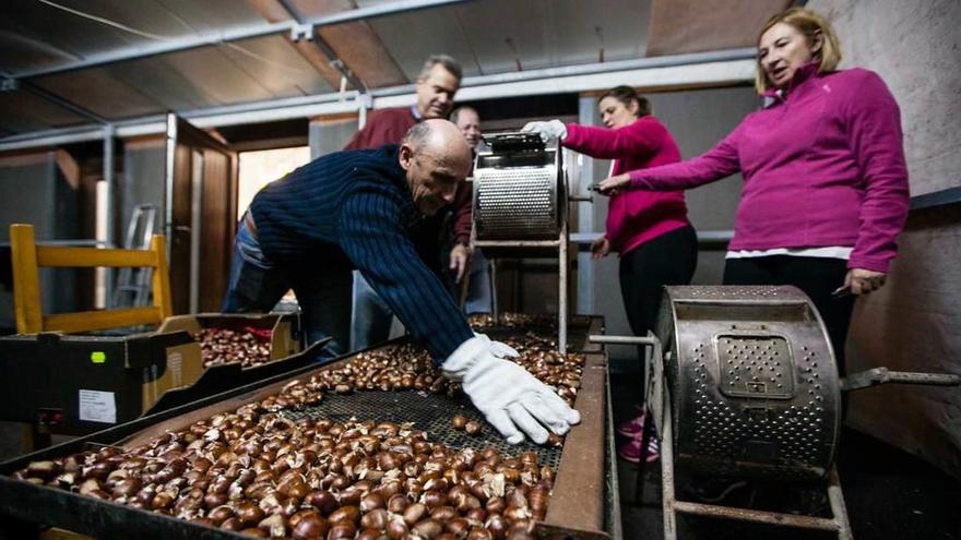 Los vecinos festejan su primer siglo con sidra dulce