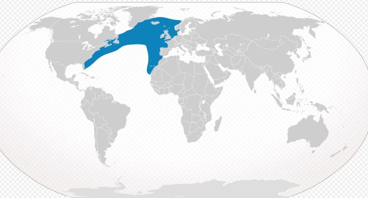 Área de distribución de la especie