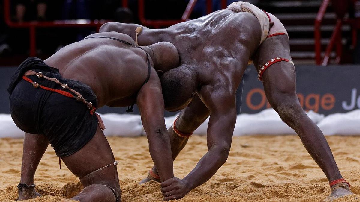Combat de lluita tradicional senegalesa, una de les activitats que havia d'acollir la festa