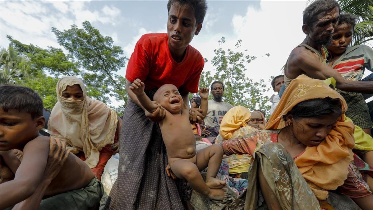 rohingya