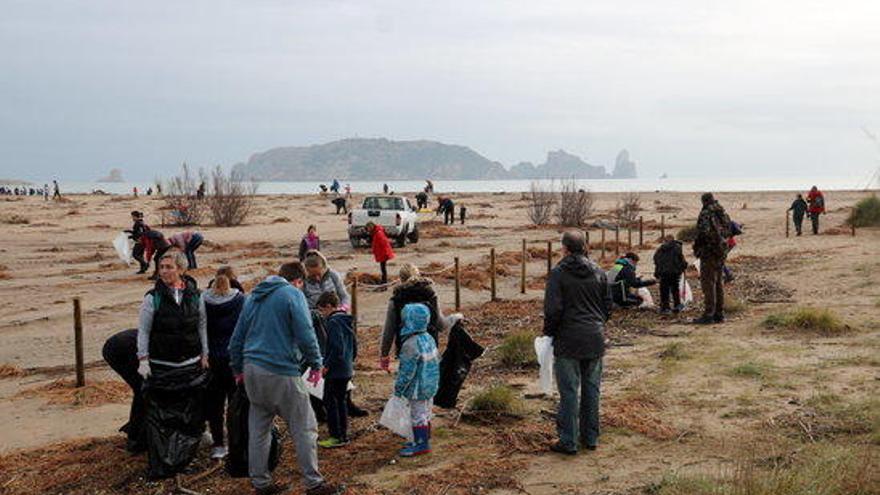 Voluntaris netejant la platja de l&#039;Estartit després del temporal