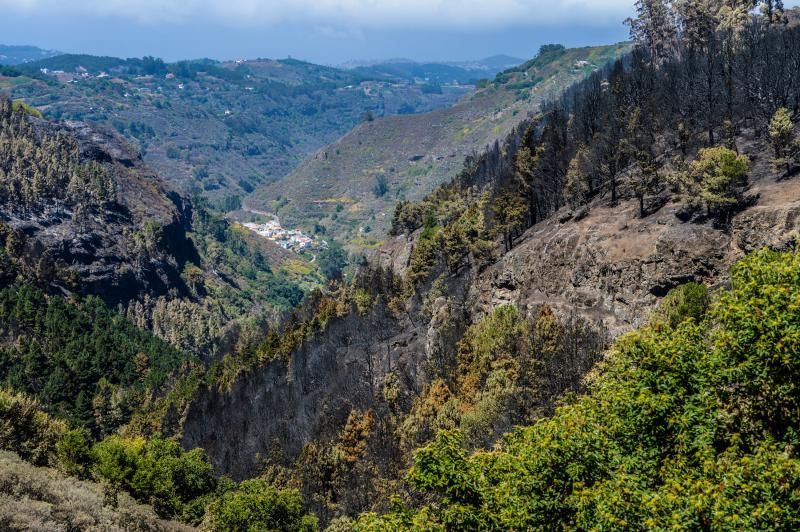 Consecuencias del incendio: De Valleseco a Artenar