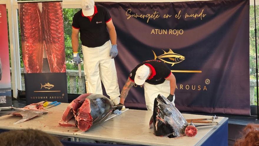 La exhibición de «ronqueo» de atún rojo realizada por Novomar Arousa en O Grove fue un éxito.