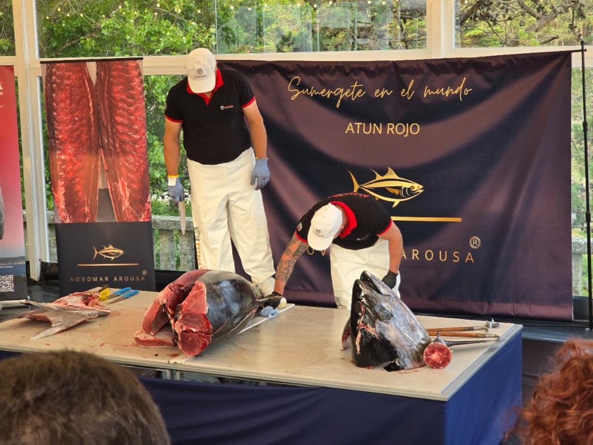 La exhibición de «ronqueo» de atún rojo realizada por Novomar Arousa en O Grove fue un éxito.