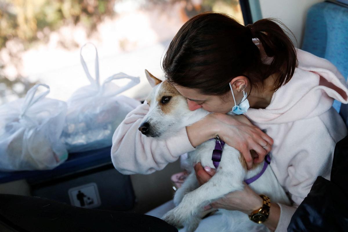 Una chica abraza a su perro en el tren que la lleva de Zahony a Budapest (Hungría), tras escapar de Ucrania huyendo de la guerra.