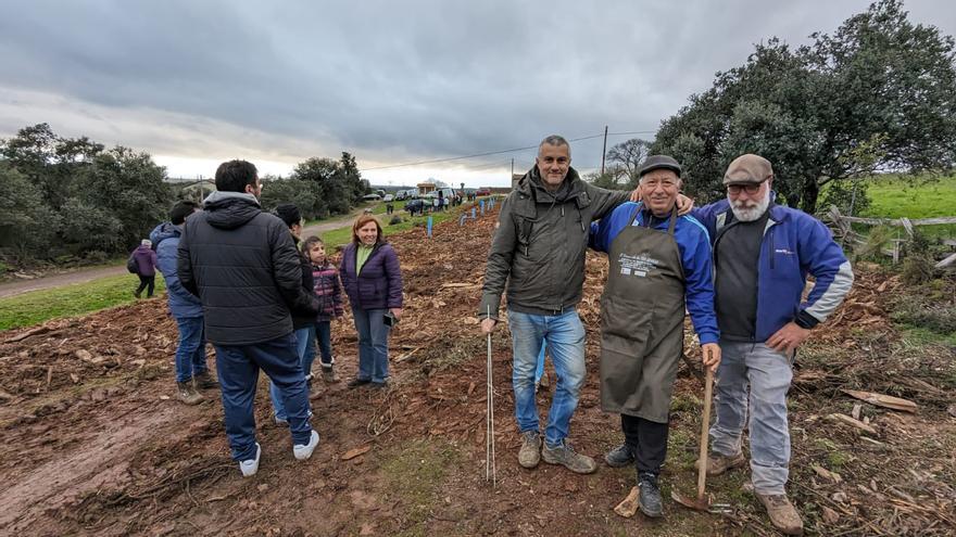 GALERÍA | Un jardín de 20 especies de olivos en Aliste