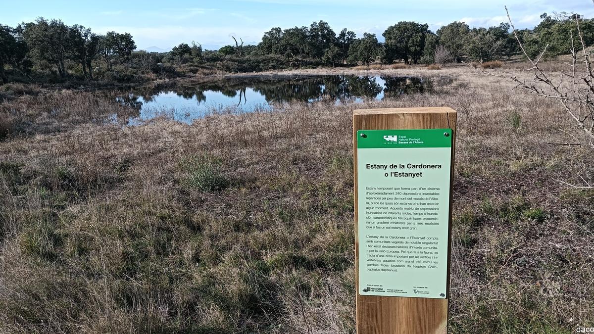 Les Basses de l'Albera, recentment.