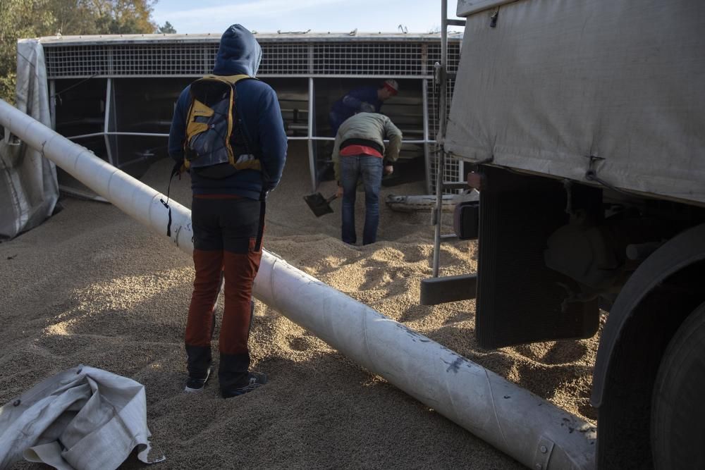 Un camió bolca i perd la càrrega a Massanes