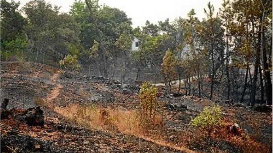 L&#039;incendi afecta una zona de Càceres d&#039;alt valor paisatgístic i turístic.