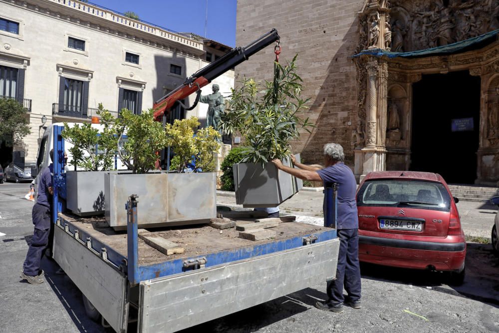 Mes de prueba en los Acire de Palma