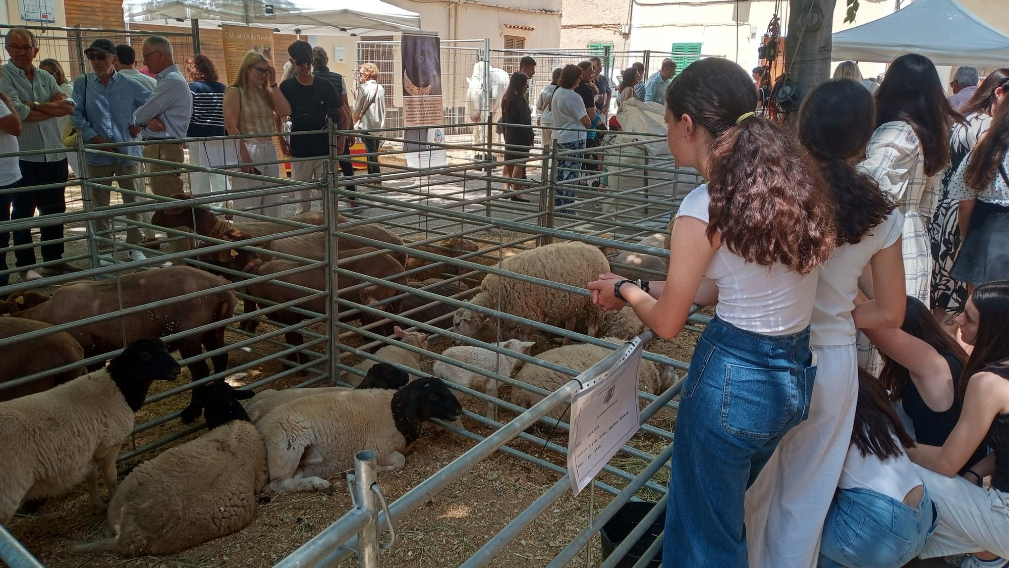 Las imágenes de la Fira de Sencelles