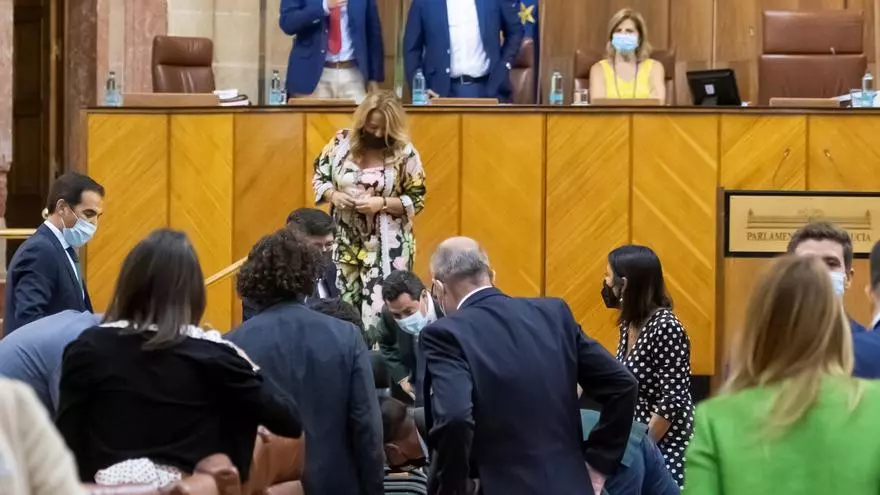 Una rata irromp al Parlament Andalús