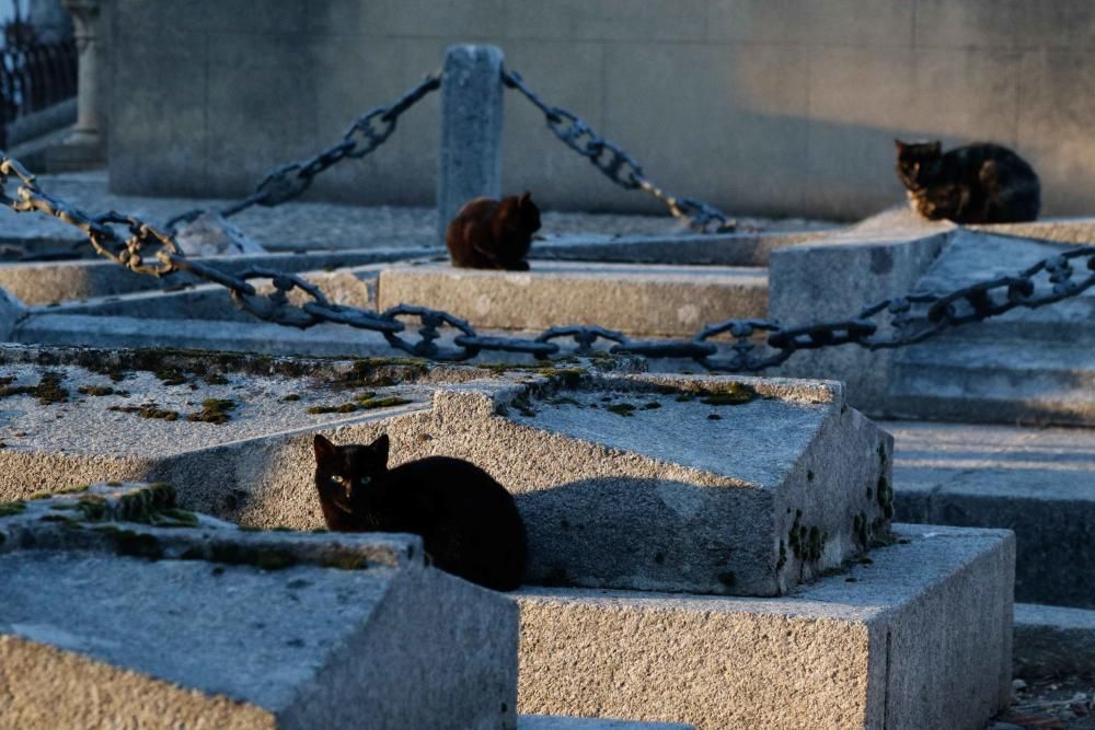 El cementerio en la festividad de Todos los Santos