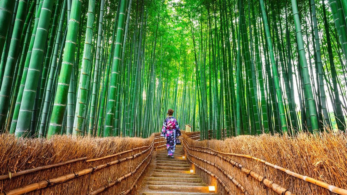 Arashiyama, Japón