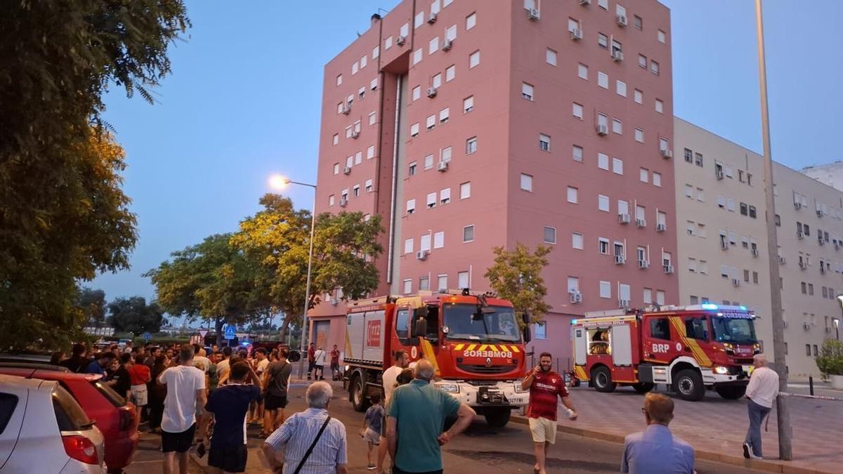 Actuación de los Bomberos del Consorcio provincial en el incendio de Tomares.