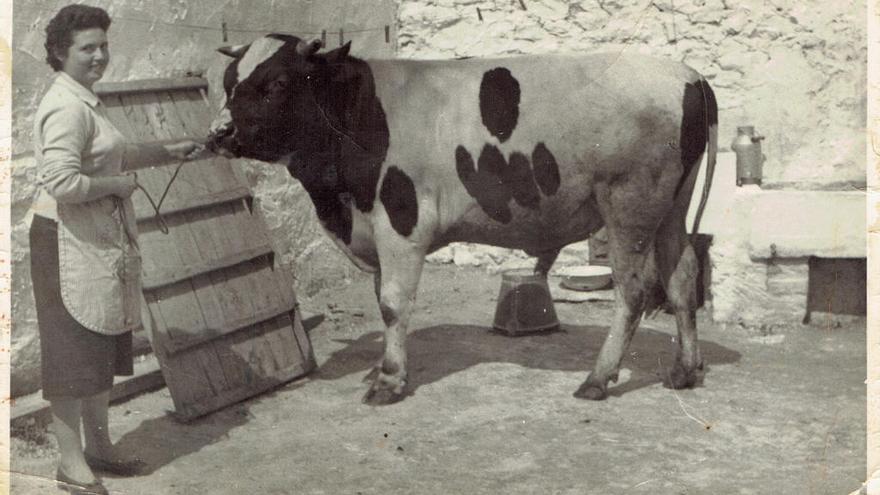 El gremio de carniceros de València reconoce los 56 años de Casa Pichi de Xàbia