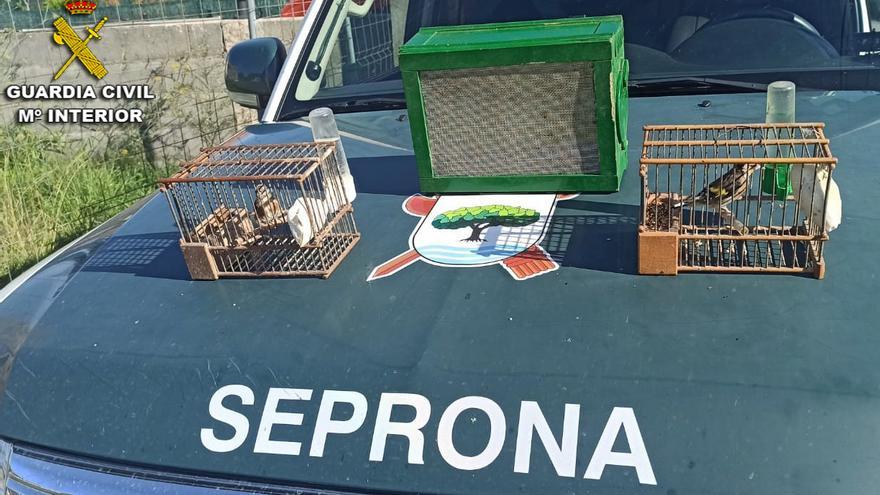 Detienen a un vecino de Marín por capturar ilegalmente jilgueros silvestres en Portonovo