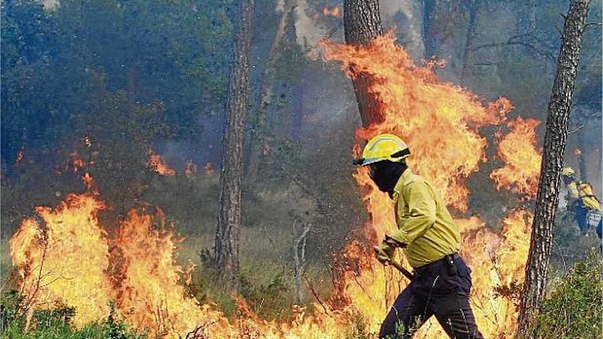 Un bomber planta cara a les flames del que és el primer foc forestal important de la temporada.