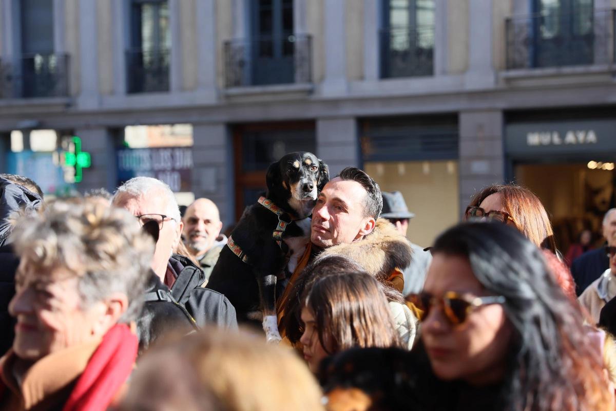 EN IMÁGENES: Oviedo bendice a sus mascotas por San Antón