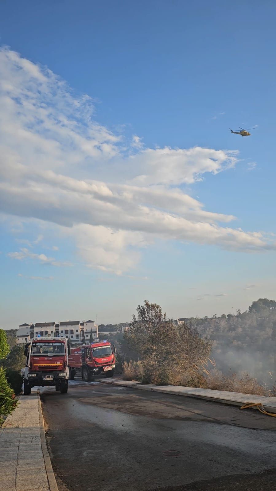 Las llamas del incendio en Orihuela Costa