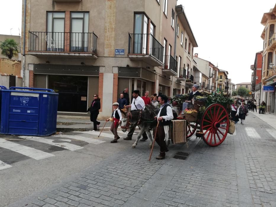 Desfile de carros de la Fiesta de la Vendimia