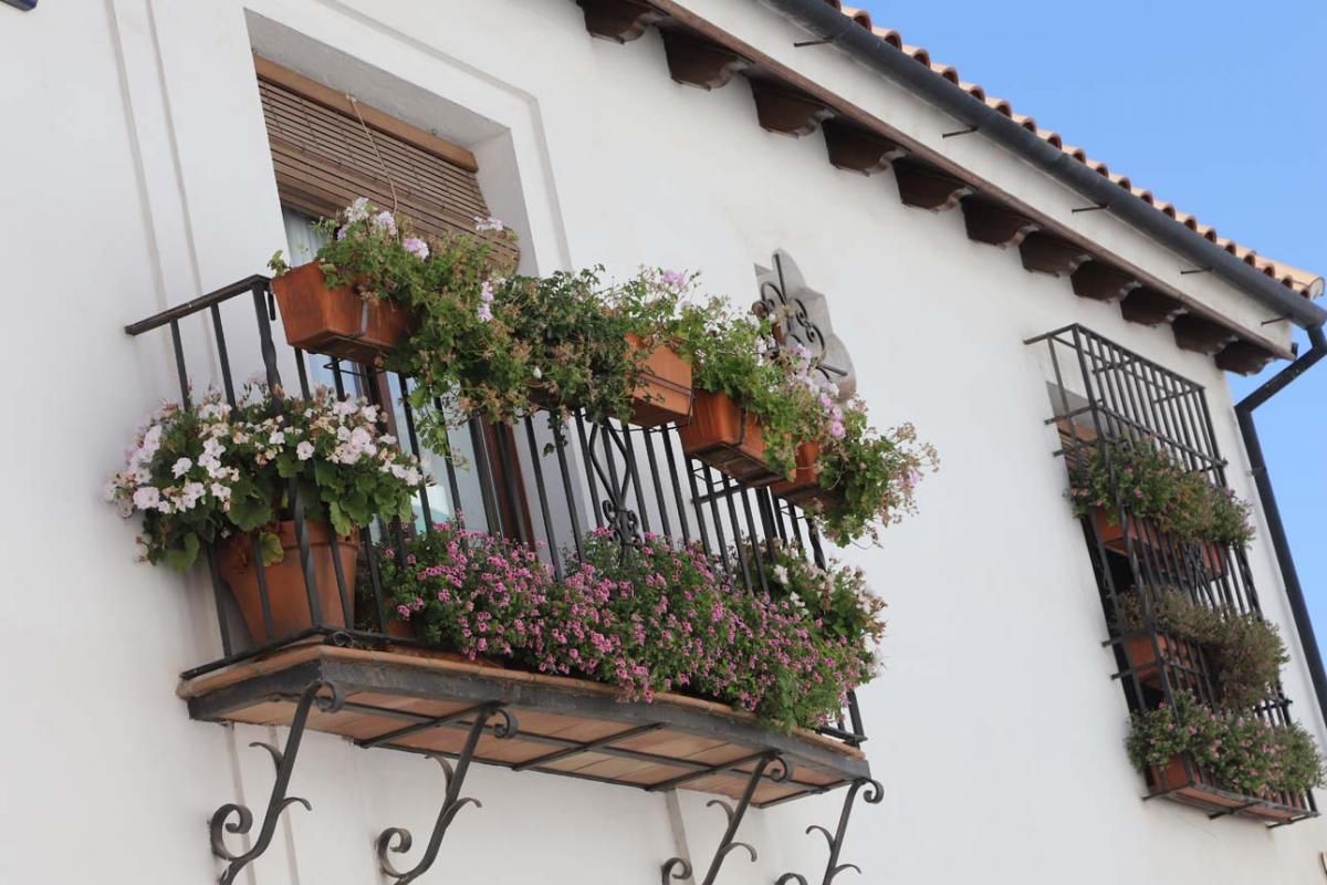 Rejas y balcones en junio