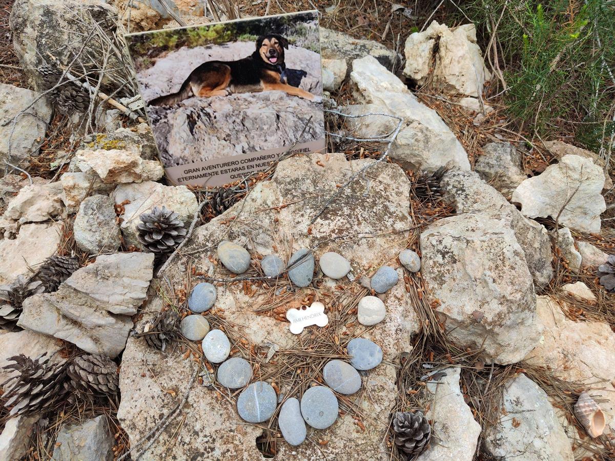 El cementerio ilegal de perros y gatos de sa Caleta en imágenes El cementerio ilegal de perros y gatos de sa Caleta en imágenes