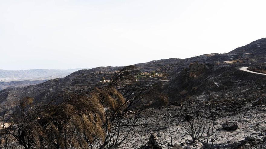 Muere una de las heridas en el incendio forestal de Los Gallardos que estaba ingresada